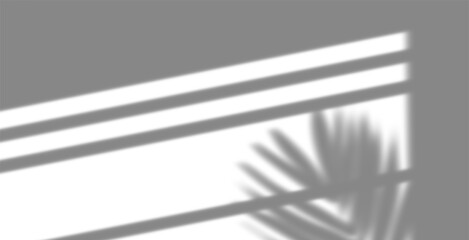Window shadow overlay with palm leaf and blinds isolated on transparent background creates a serene and calming atmosphere isolated on trasparent background