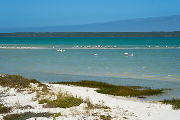 S&uuml;dafrika West Coast National Park Marine Protected Area