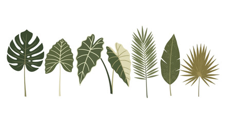 A collection of various tropical green leaves with different shapes and textures, arranged horizontally.
