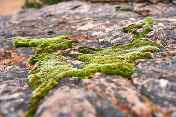 S&uuml;dafrika Cederberge 