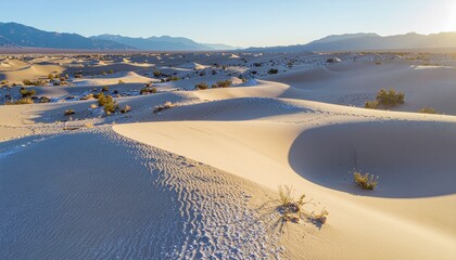 Golden light over expansive desert sand dunes, revealing natural patterns in a tranquil and vast arid landscape