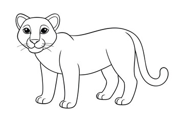 Outline drawing of a cute cougar cub isolated on