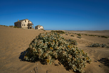 Kolmanskuppe Namibia