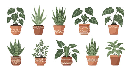 Houseplant Variety Indoor Plants in Decorative Pots