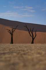 Dead Vlei Namib Wüste Namibia