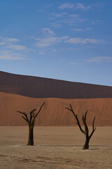 Dead Vlei Namib Wüste Namibia