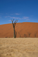 Dead Vlei Namib Wüste Namibia