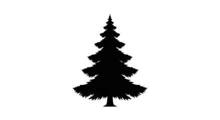 Silhouette of a classic fir tree, representing winter and the holiday season