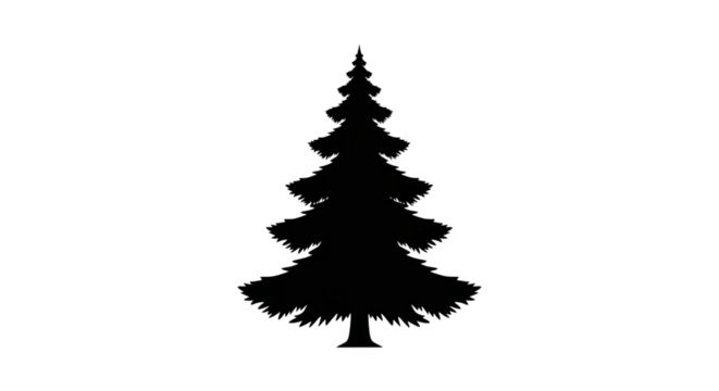 Silhouette of a classic fir tree, representing winter and the holiday season
