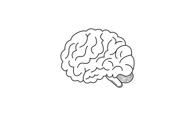 Human brain illustration.