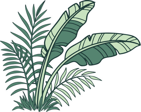 Photorealistic Mixed Tropical Foliage &ndash; Banana Leaves & Palm Fronds Illustration