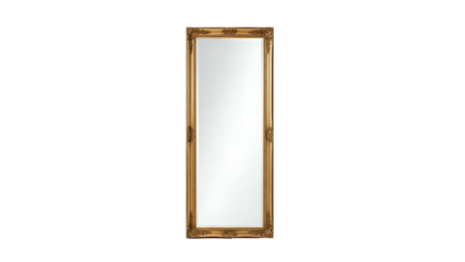 An ornate, golden-framed full-length mirror stands upright against a black background