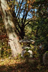 森の中の灯篭のある風景