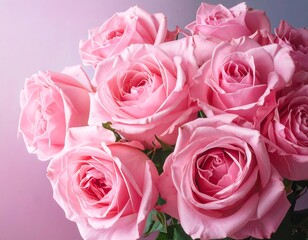 Fototapeta premium A close-up showcases a bouquet of delicate, light pink roses with layered petals, set against a soft, gradient background