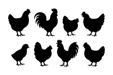 Fototapeta premium Silhouettes of chickens and roosters in various poses.