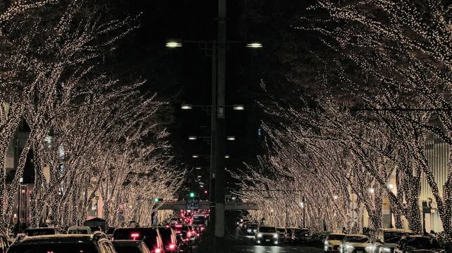 Winter in Tokyo : Illuminations on the Trees Lining the World's Leading Fashion Street  |  Omotesando, Tokyo, Japan