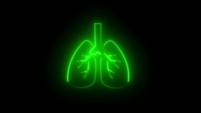  glowing The kidney neon organ physiology, 4k video.. 
