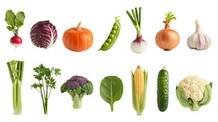 Vibrant array of fresh garden vegetables for healthy eating and culinary inspiration, perfect for recipe books, nutrition guides, and food blog designs