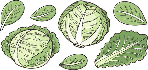 A collection of fresh green cabbages and lettuce arranged against a transparent background. The image showcases a variety of shapes and sizes, with whole cabbages and cut lettuce leaves scattered acro