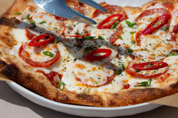 Close-up of a pizza with tomatoes and paprika.
