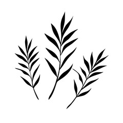 Fototapeta premium Three black silhouette palm leaves isolated on