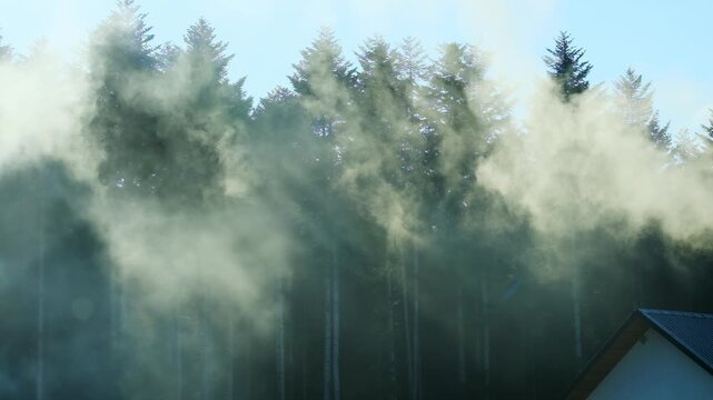 Gentle haze vail pierced by sun rays over house in pine forest in morning. Tranquil landscape with gentle mist cloud at woodland countryside