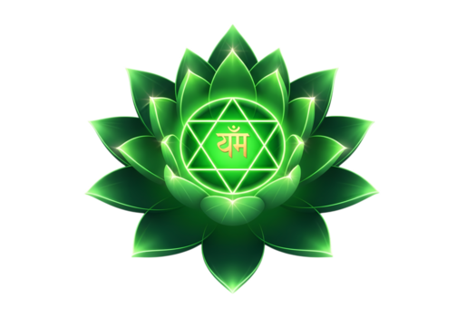 lotus flower on green background