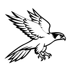 eagle vector illustration