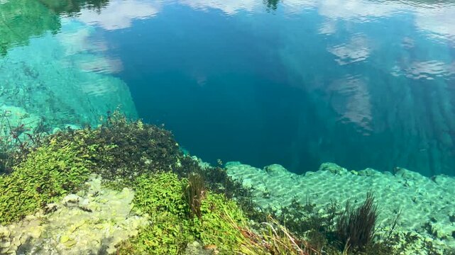 Calm spring lagoon with visible abyss and sunlit algae