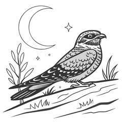 Obraz premium Common Nighthawk Perched Under Moon Vector