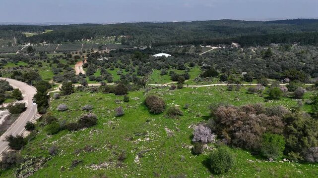 Aerial 4K footage of Ben Shemen Forest in central Israel, featuring the iconic &ldquo;Chinese House&rdquo; structure surrounded by dense Mediterranean woodland. The drone captures sweeping views of green pine tre