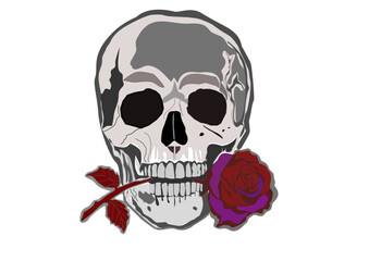 Gothic Skull with Red Rose Vector Illustration