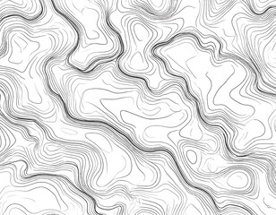 Abstract, minimalist illustration of undulating contour lines forming a complex, textured pattern on white