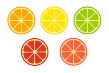 Vibrant assortment of citrus fruit slices: orange, lemon, lime, and grapefruit