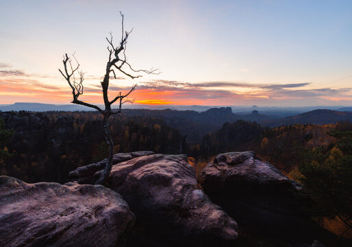sunset on Carolafelsen Saxony switzerland Elbsandsteingebirge sandstone birch and sunstar golden hour warm light in autumn fall