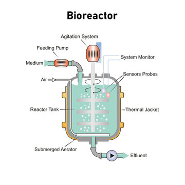 Bioreactor Diagram Science Design. Vector Illustration.