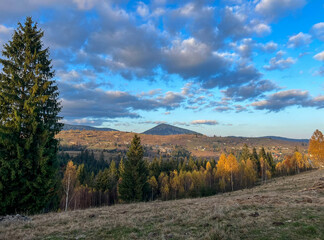 Stunning autumn landscape showcasing colorful trees and mountains in daylight