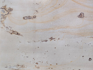 Natural texture showing earthy tones with organic patterns and designs