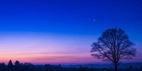 Silhouette of a lone tree against a vibrant gradient sky at dusk, with a faint moon visible