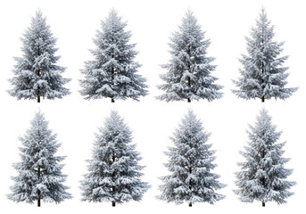 Collection of snow-covered fir trees, isolated on transparent background