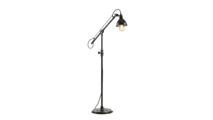 A tall, industrial-style black floor lamp with adjustable arm and a small, caged bulb
