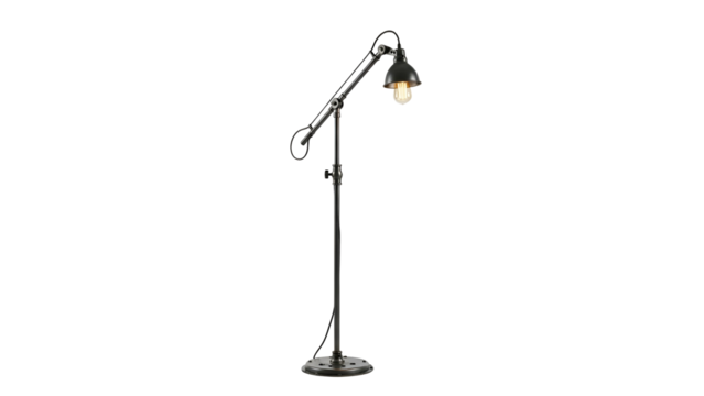 A tall, industrial-style black floor lamp with adjustable arm and a small, caged bulb