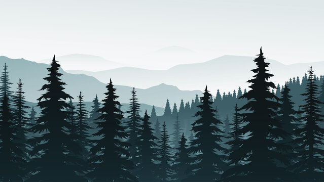 a foggy forest in blue tones back