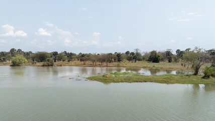 Close-up portrait of a giraffe in a wildlife sanctuary, highlighting its gentle expression and natural habitat.
