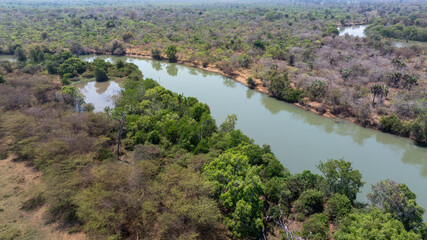 Close-up portrait of a giraffe in a wildlife sanctuary, highlighting its gentle expression and natural habitat.