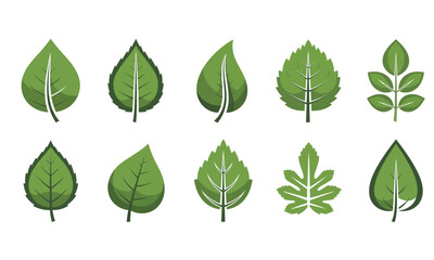 Set of 10 Different Green Leaf Icons. Collection of Various Tree and Plant Foliage Shapes for Nature, Ecology, and Botanical Design.