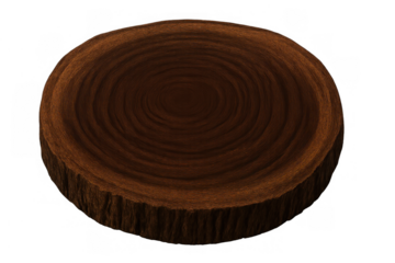 Circular wooden stump cross-section showing unique tree growth rings and rustic bark texture on a transparent background