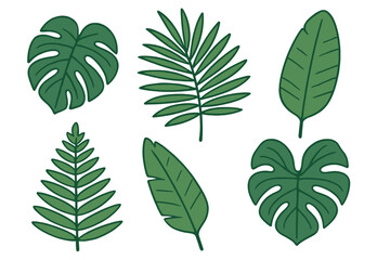 Stylized set of tropical jungle leaves including monstera and palm fronds