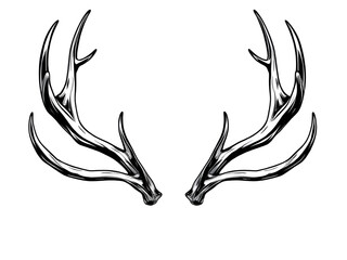 deer, antlers, horns, stag, buck, elk, reindeer, vector, outline, silhouette, contour, animal, wildlife, wild, forest, wilderness, rustic, tribal, vintage, emblem, symbol, crest, majestic, powerful, h