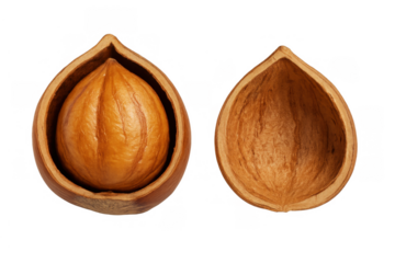Hazelnut kernel with cracked shell halves, displaying raw brown nut and empty open husk on transparent background